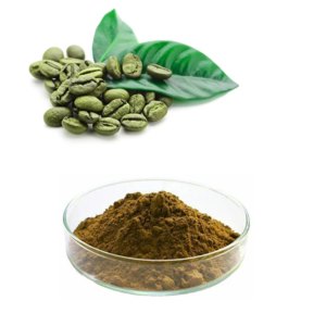 Кофе зеленый (хлорогеновая кислота 20%) 50гр фото